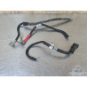 Cable de masse Ducati 1200 Diavel Dark 2015 à 2018 