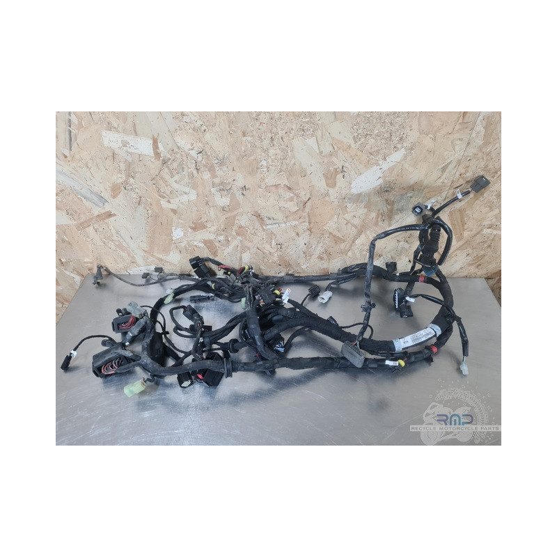 Faisceau électrique principal Ducati 1200 Diavel Dark 2015 à 2018 