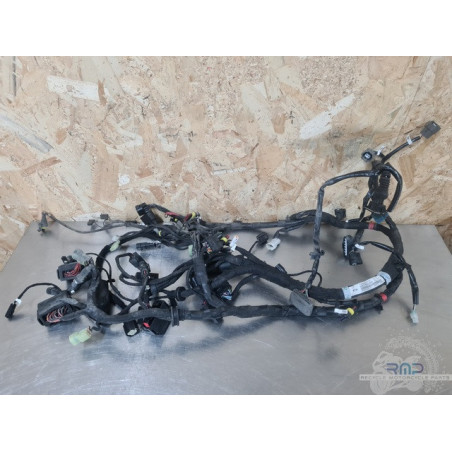 Faisceau électrique principal Ducati 1200 Diavel Dark 2015 à 2018 