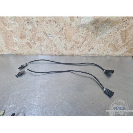 Sonde lambda x1 Ducati 1200 Diavel Dark 2015 à 2018 