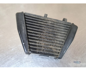 Radiateur d'huile Ducati 1200 Diavel Dark 2015 à 2018 