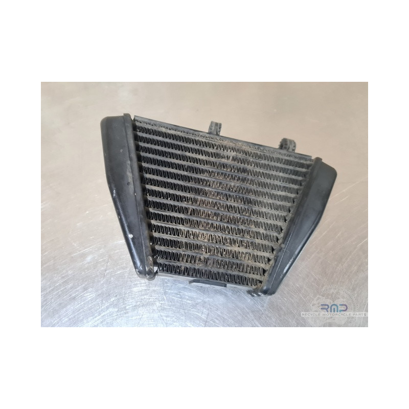 Radiateur d'huile Ducati 1200 Diavel Dark 2015 à 2018 
