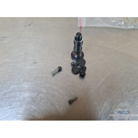 Kit d'axe de repose pied Ducati 1200 Diavel Dark 2015 à 2018 