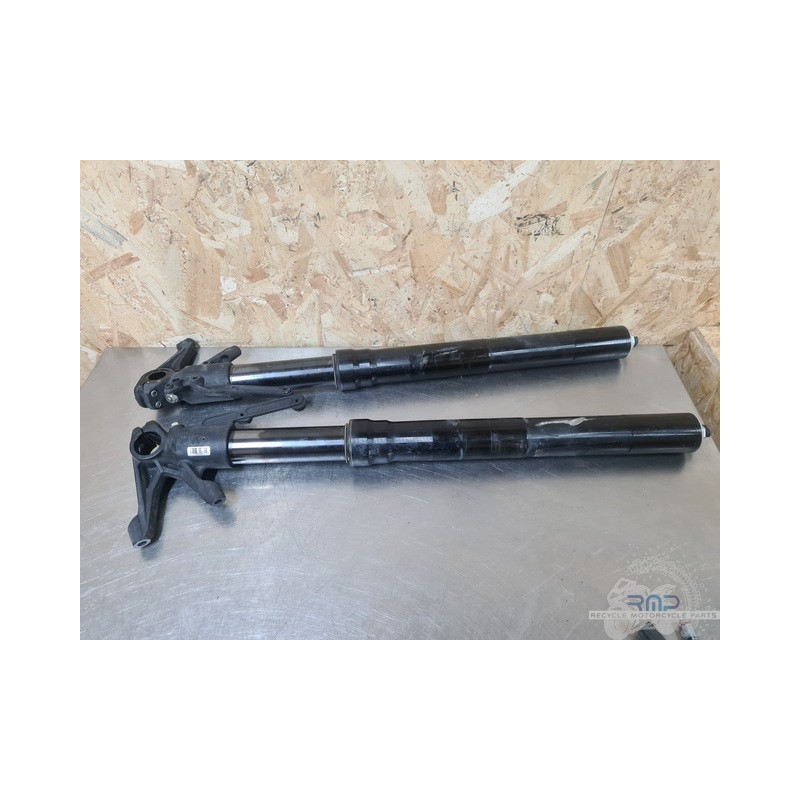 Paire de tube de fourche Ducati 1200 Diavel Dark 2015 à 2018 