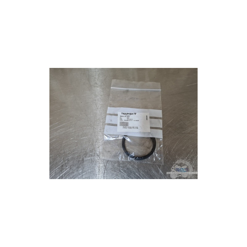 Jointdecalorstat T2100201 Triumph Daytona 675 2006 à 2008 