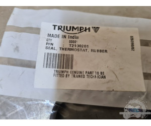 Triumph Daytona 675 2006 à 2008 