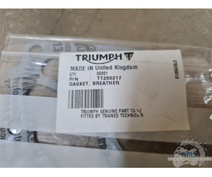 Triumph Daytona 675 2006 à 2008 