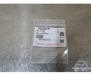 Triumph Daytona 675 2006 à 2008 