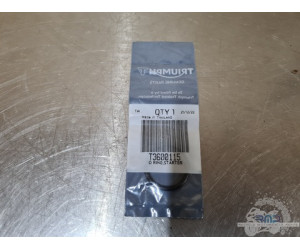 Triumph Daytona 675 2006 à 2008 