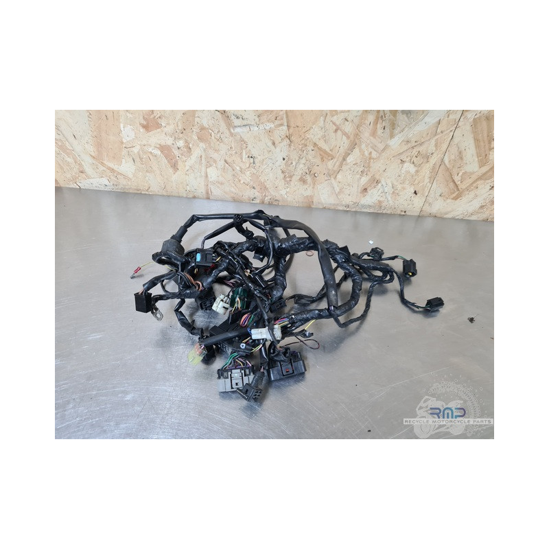 Faisceau électrique principal modifié Triumph Daytona 675 2006 à 2008 
