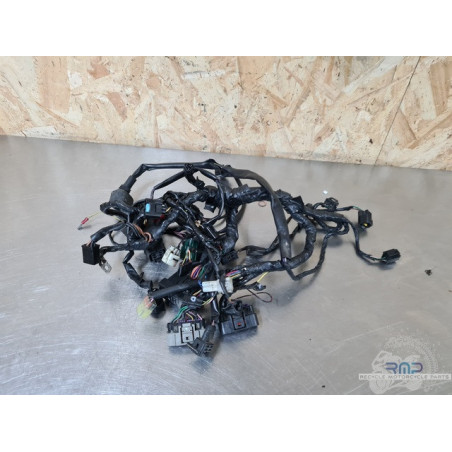 Faisceau électrique principal modifié Triumph Daytona 675 2006 à 2008 