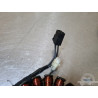 Stator - Alternateur Triumph Daytona 675 2006 à 2008 