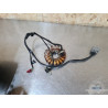Stator - Alternateur Triumph 660 Street Triple 