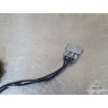Stator - Alternateur Triumph 660 Street Triple 