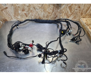 Faisceau moteur Aprilia RSV4 2009 à 2014 