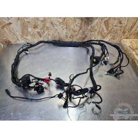 Faisceau moteur Aprilia RSV4 2009 à 2014 