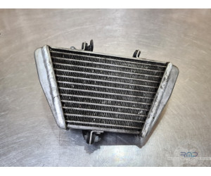 Radiateur d'huile Aprilia RSV4 2009 à 2014 