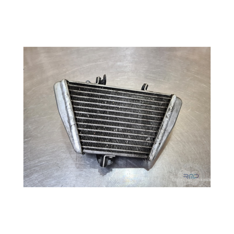 Radiateur d'huile Aprilia RSV4 2009 à 2014 