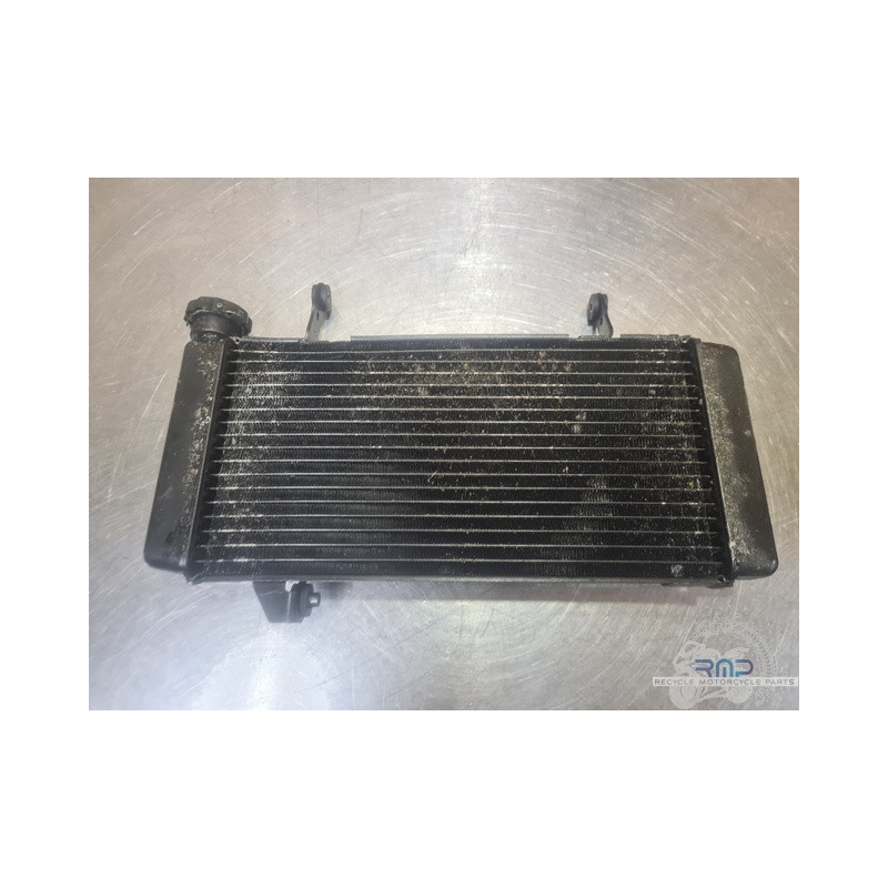 Radiateur d'eau Suzuki SV 1000 N 2003 à 2007 