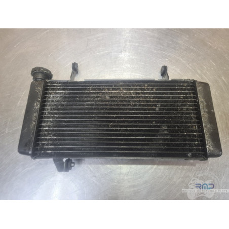 Radiateur d'eau Suzuki SV 1000 N 2003 à 2007 