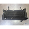 Radiateur d'eau Suzuki SV 1000 N 2003 à 2007 