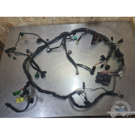 Faisceau électrique principal Suzuki SV 1000 N 2003 à 2007 