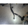 Faisceau électrique principal Suzuki SV 1000 N 2003 à 2007 