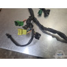 Faisceau électrique principal Suzuki SV 1000 N 2003 à 2007 