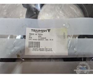 Triumph Daytona 675 2013 à 2016 