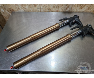 Paire de tube de fourche Triumph Daytona 675 2013 à 2016 