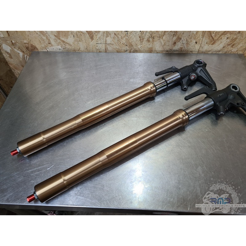 Paire de tube de fourche Triumph Daytona 675 2013 à 2016 