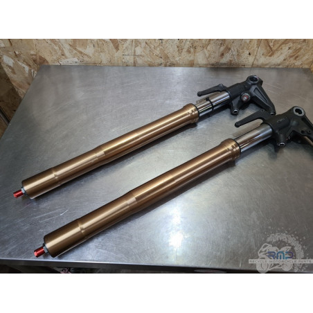 Paire de tube de fourche Triumph Daytona 675 2013 à 2016 