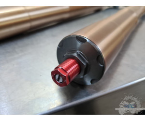 Paire de tube de fourche Triumph Daytona 675 2013 à 2016 