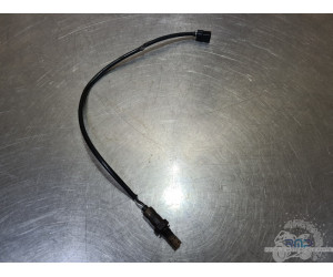 Sonde lambda Triumph Daytona 675 2013 à 2016 
