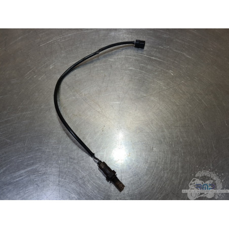 Sonde lambda Triumph Daytona 675 2013 à 2016 