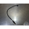 Sonde lambda Triumph Daytona 675 2013 à 2016 
