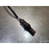 Sonde lambda Triumph Daytona 675 2013 à 2016 