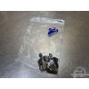Clapet SAI Ducati Panigale V4 2025 