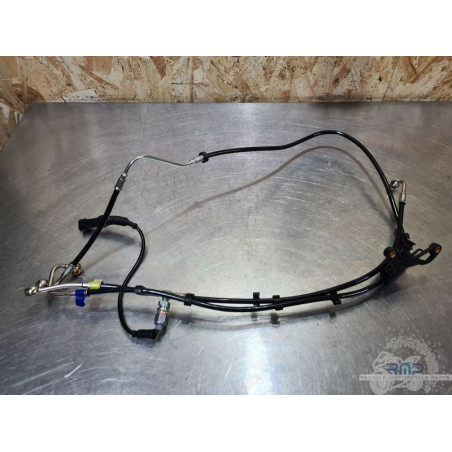 Durite de frein ABS Ducati Panigale V4 2025 
