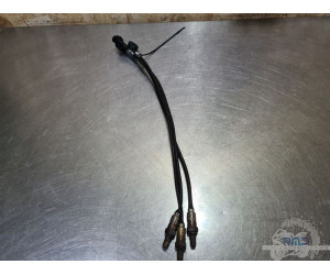 Sonde lambda x1 Ducati Panigale V4 2025 