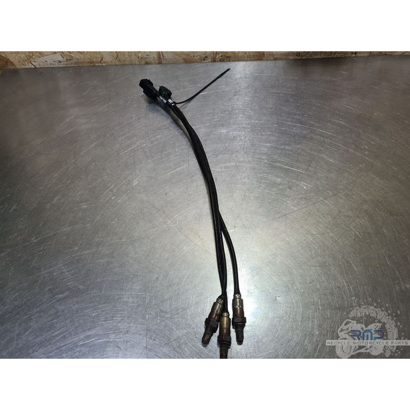 Sonde lambda x1 Ducati Panigale V4 2025 