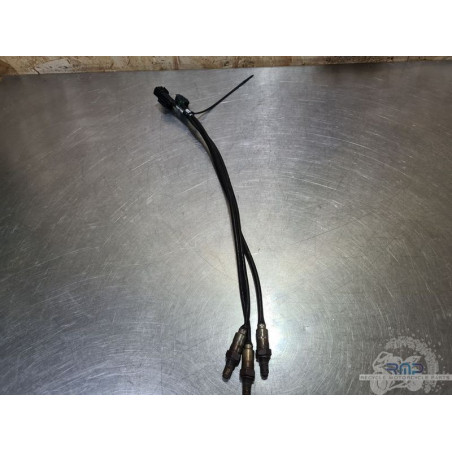 Sonde lambda x1 Ducati Panigale V4 2025 
