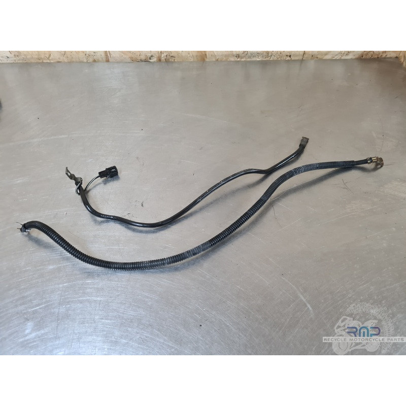 Cable de masse Suzuki 650 SV N 1999 à 2002 