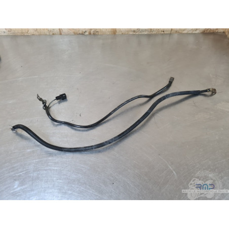 Cable de masse Suzuki 650 SV N 1999 à 2002 