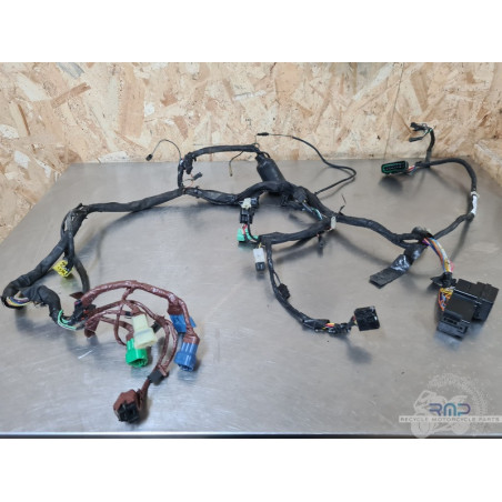 Faisceau électrique principal Suzuki 650 SV N 1999 à 2002 