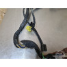 Faisceau électrique principal Suzuki 650 SV N 1999 à 2002 