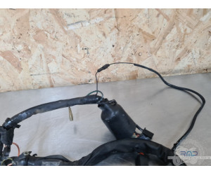 Faisceau électrique principal Suzuki 650 SV N 1999 à 2002 