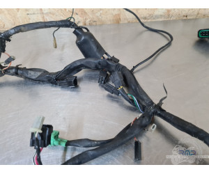 Faisceau électrique principal Suzuki 650 SV N 1999 à 2002 