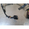Faisceau électrique principal Suzuki 650 SV N 1999 à 2002 
