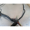 Faisceau électrique principal Suzuki 650 SV N 1999 à 2002 